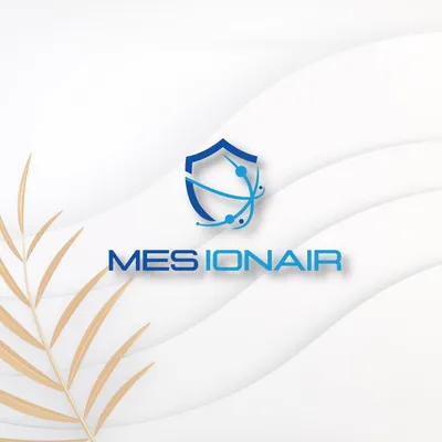mes-ionair.vn's icon