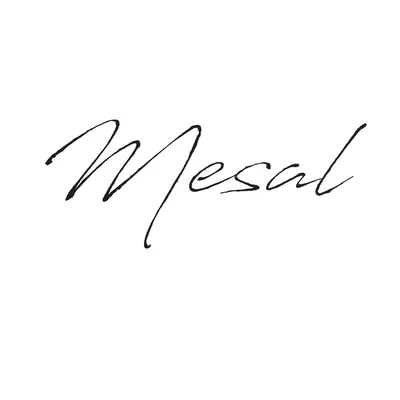 mesal.it's icon