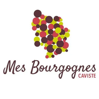 mesbourgognesbeaune.com's icon