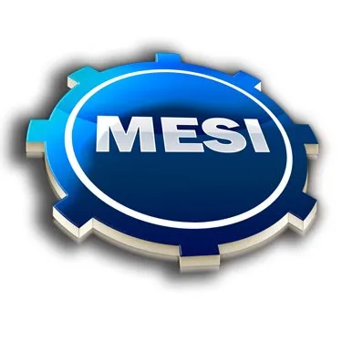 mesigroup.com's icon