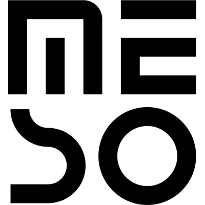 mesoevents.eu's icon