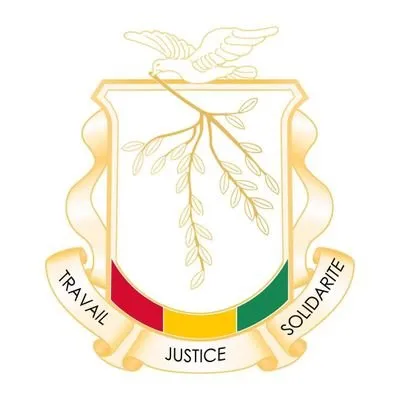 mesrs.gov.gn's icon