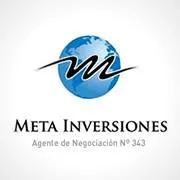 metainversiones.com.ar's icon