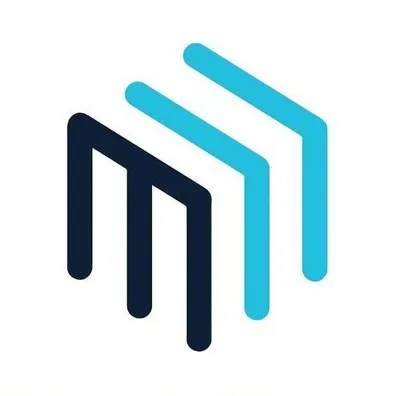 metallo.com.sg's icon
