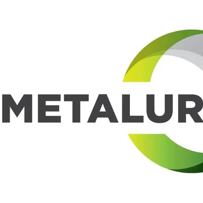 metalurgroup.com's icon