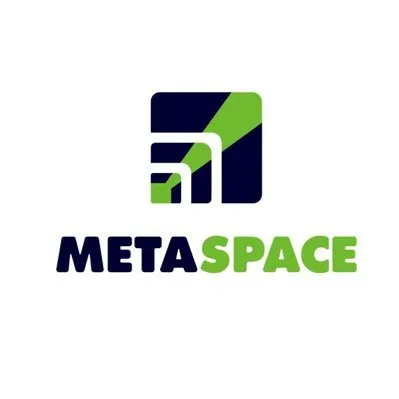 metaspacedome.com's icon