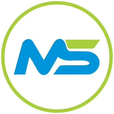 meteoricsolutions.com's icon