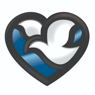 methodisthospitalfoundation.org's icon