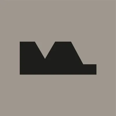 metrolatina.com.ar's icon
