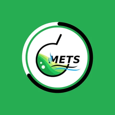 metslab.com's icon