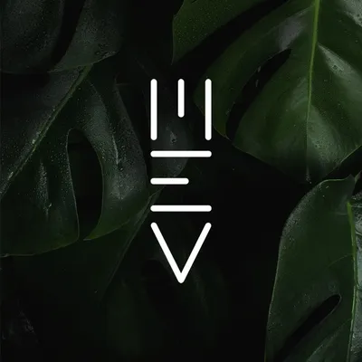 meveganhotel.com's icon