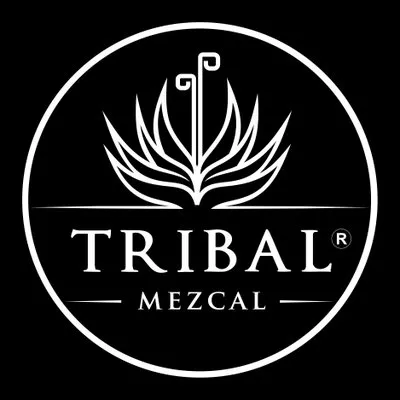 mezcaltribal.com's icon