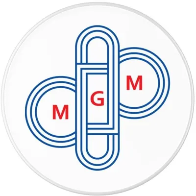 mgmholdings.lk's icon