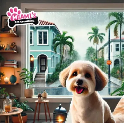 miamispetgrooming.com's icon