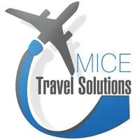 mice-travel-solutions.com.ua's icon