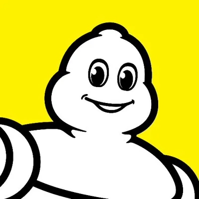 michelinman.com's icon
