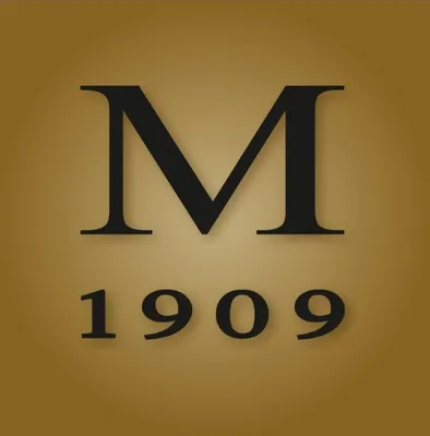michelsen.is's icon