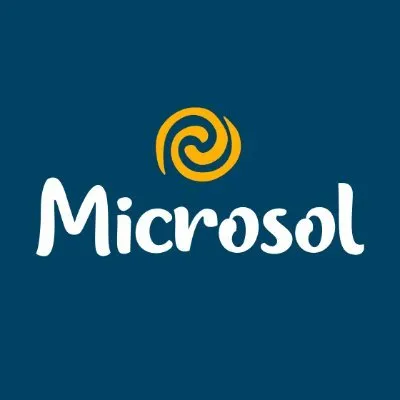 microsol-int.com's icon