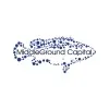middlegroundcapital.com's icon