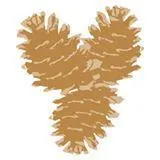 middleridge.com's icon