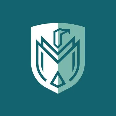 midlandsinternational.com's icon