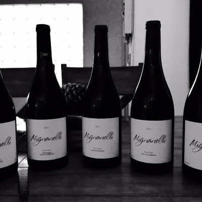mignanelliwinery.com's icon