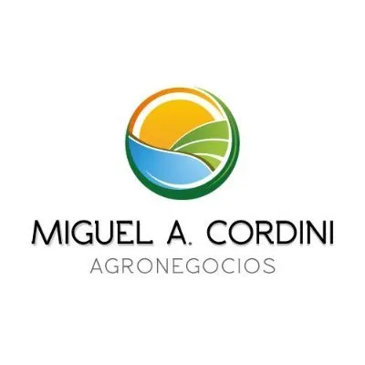 miguelcordini.com's icon