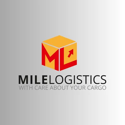 mile-logistics.ru's icon
