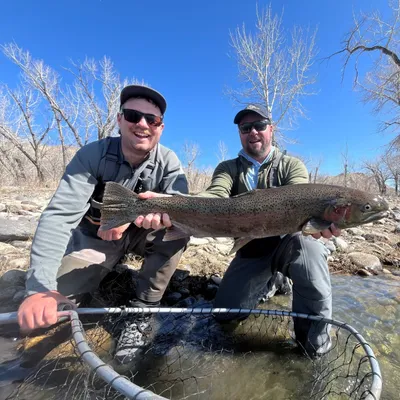 milehighoutfitters.com's icon