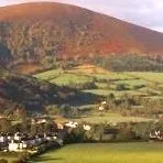 millstreet.ie's icon