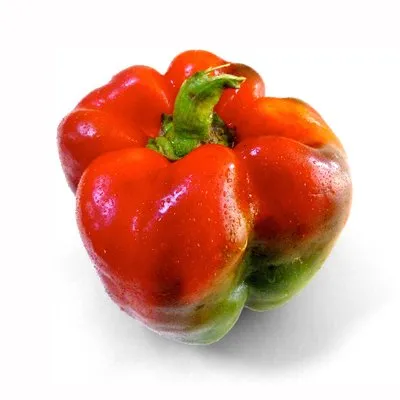 mimiculture.com's icon