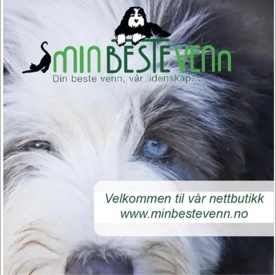 minbestevenn.no's icon