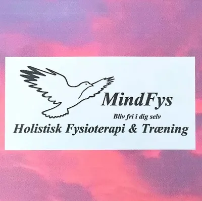 mindfys.dk's icon