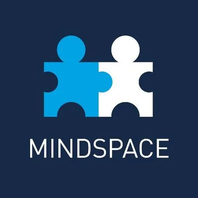 mindspacepk.com's icon