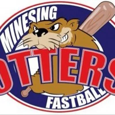 minesingminorball.ca's icon