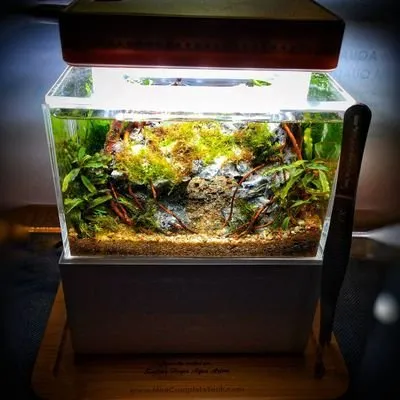 minicompletetank.net's icon