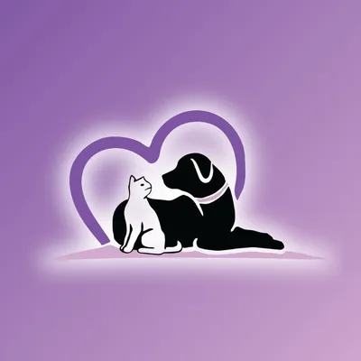 minivetexpress.com's icon