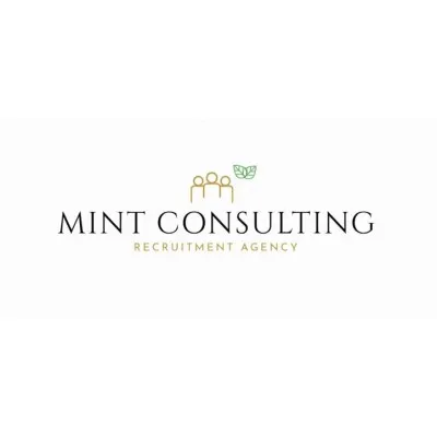 mintconsulting.hr's icon