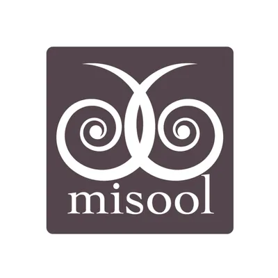 misool.info's icon