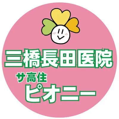mitsuhashi-nagata.info's icon