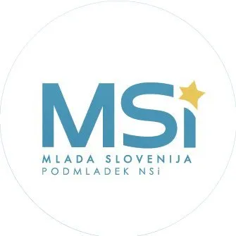 mladaslovenija.si's icon