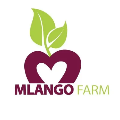 mlango.org's icon