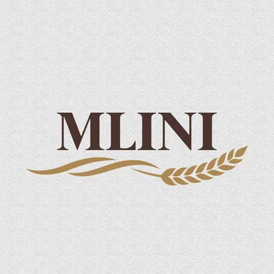 mlini.ba's icon