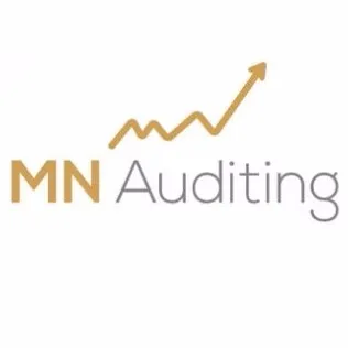mnauditing.com's icon