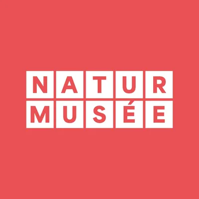 mnhn.lu's icon