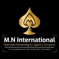 mninternational.fr's icon