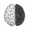 mnm.dev's icon
