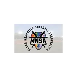 mnsasoftball.com's icon