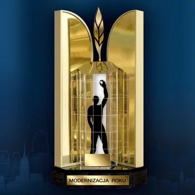 modernizacjaroku.org.pl's icon
