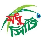 modhucity.com's icon